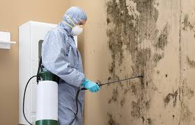 Best Mold Odor Removal Services  in Cape Charles, VA